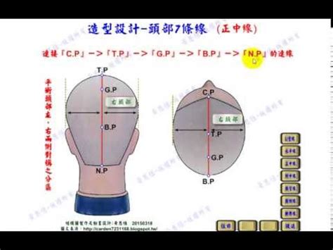 頭部七條基準線|頭型七條基準線雙旋真人示範